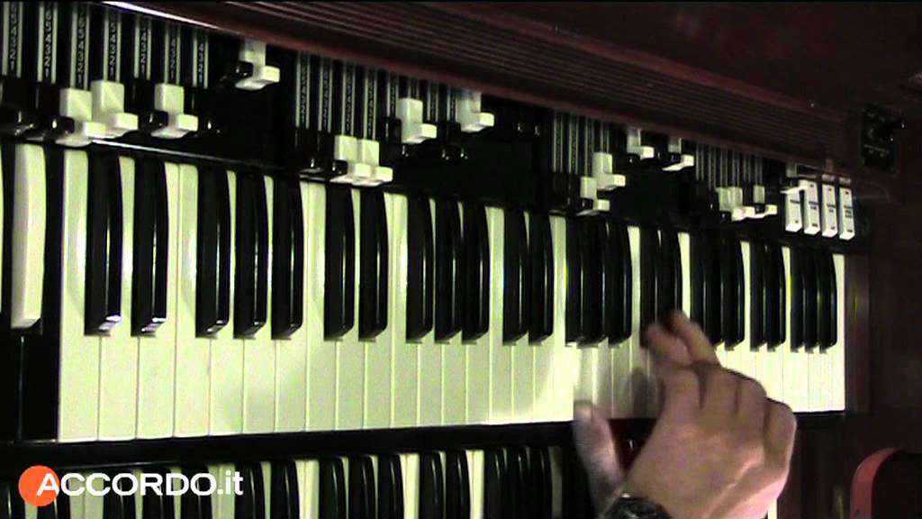 Hammond 05.mov