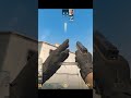 CS2 Dust2: Best Long Smoke! | Quick Guide