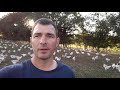 Jaime mon producteur  fabrice pardon leveur de poulets fermiers prince de bourgogne