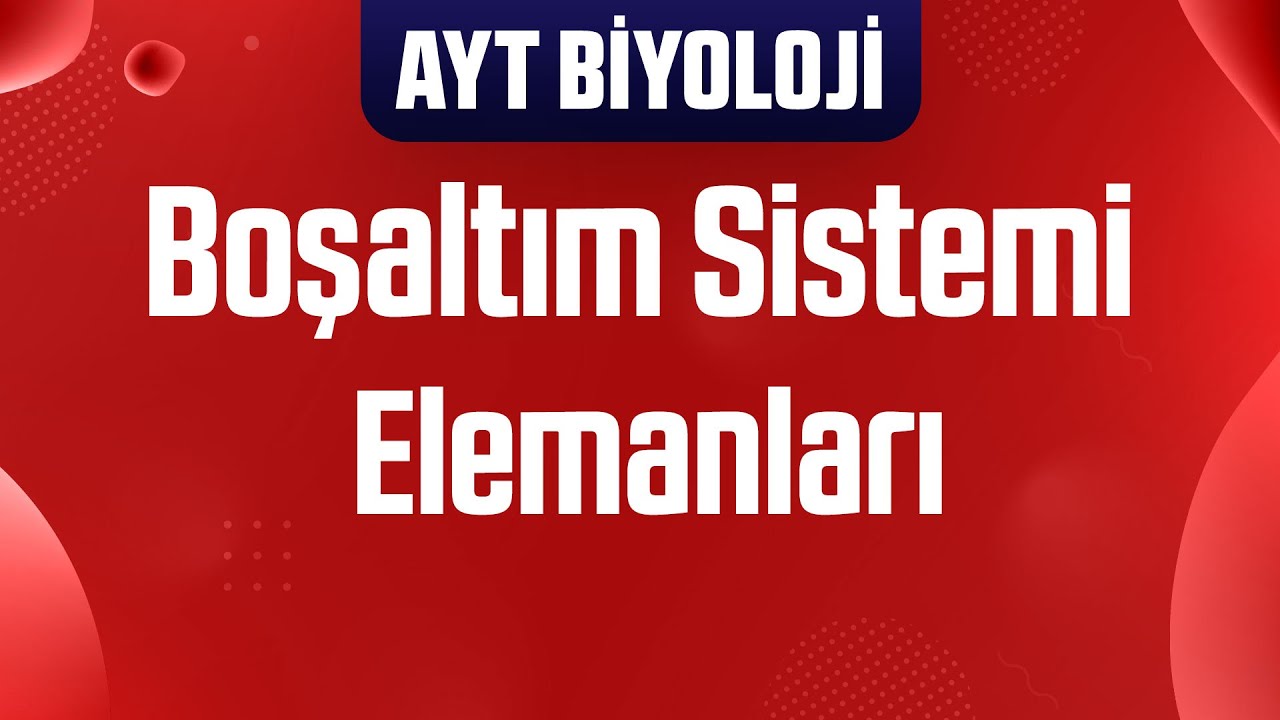27) Boşaltım (Üriner) Sistem ve Elemanları