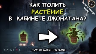 Vampyr. Как полить растение в кабинете. How to water the plant