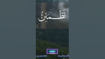 الا بذكر الله تطمئن القلوب #قرآن #اكسبلور #المنشاوي #تلاوات #Quran