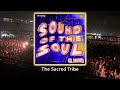 Gil Bokobza - Sound Of The Soul (Extended Mix) - #afrohouse #thesacredtribe