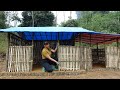 CEO Trieu Nhat Transforms Bamboo into an Extremely Stylish House Wall in the Middle of the Forest!