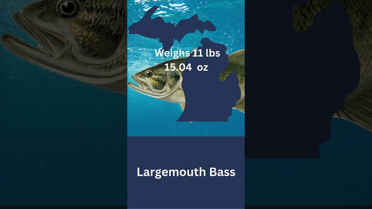 What is the Michigan State Record Largemouth Bass?