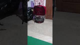 Download Lagu MB #muraibatu MP3