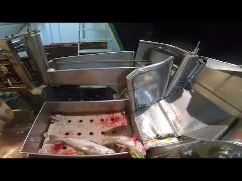 Longline fishing Haddock / Cod