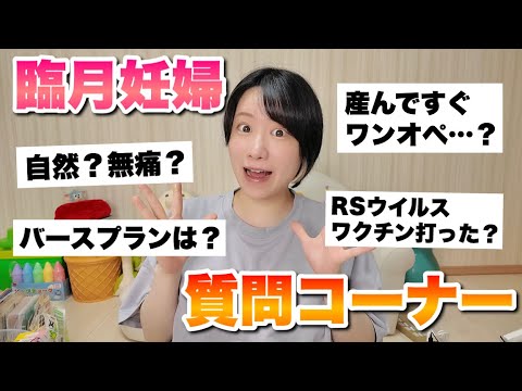 保育系YouTuber】 mocaちゃんTime - YouTube