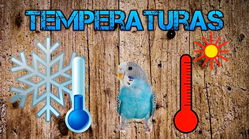 ¿Qué temperatura debe tener una habitación para un pájaro?