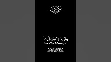 ومنهم من يستمع اليك _ شاشة سوداء _ عبد الرحمن مسعد _ كرومات قرآن كريم شاشة سوداء #كرومات_قرآن