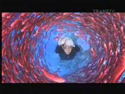 Transtv Djarum Black 21 53 (08/04)