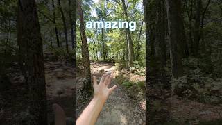Why I Never Take New England Woods for Granted
