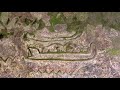 The Kaingaroa Rock Carvings - A Little Known Secret - Ancient New Zealand