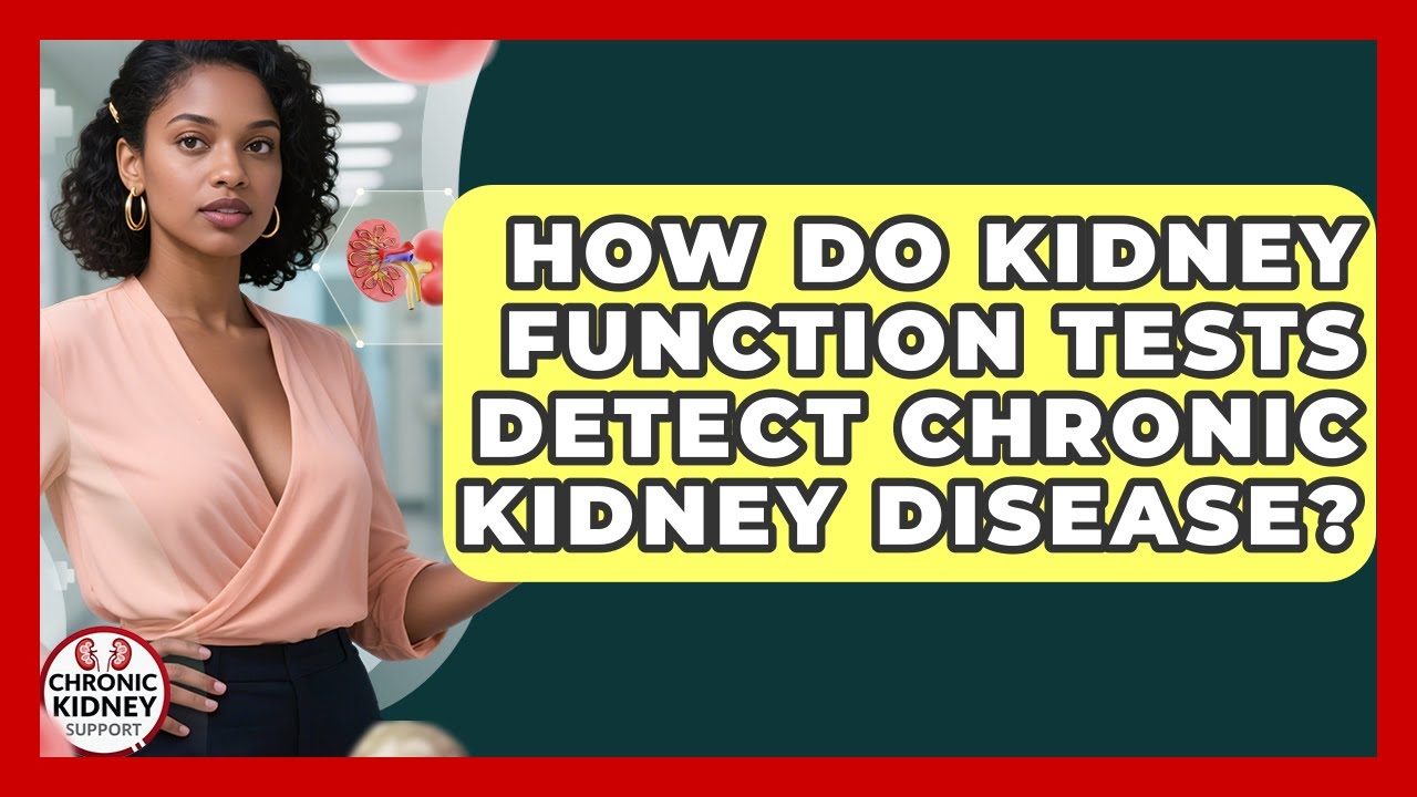 How Do Kidney Function Tests Detect Chronic Kidney Disease? | Chronic Kidney Support