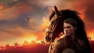 The Beauty of War Horse
