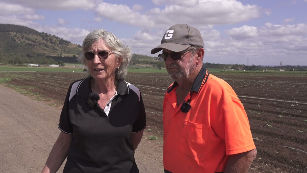 Ознакомительная поездка компании Onion в Великобританию и Нидерланды в 2025 году.