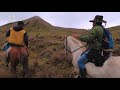 Buscando Caballos Cerreros (Caballos Salvajes) en los Páramos de Colombia | Versión Invierno | 4K