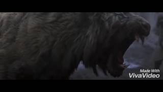 Must See The Most Furious Tiger Attack Ever Filmed