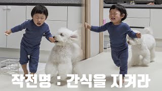 It's a Hard-Knock Life, Son (Operation Snack Guardian) by 슈앤트리 SHU AND TREE 15,191 views 2 months ago 4 minutes, 49 seconds