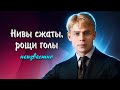 Нивы сжаты, рощи голы - Сергей Есенин #есенин #поэзия #стихи