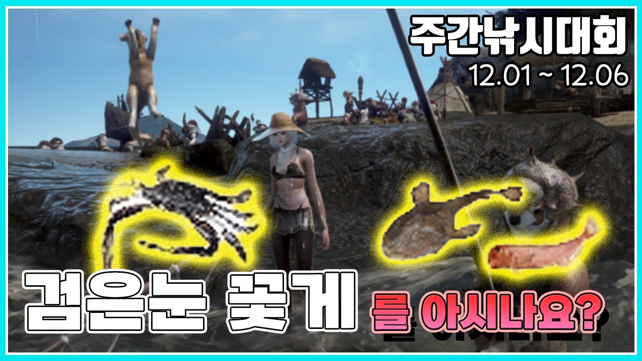 검은사막 인벤 : [주간낚시대회 어종 분석]검은눈꽃게,옥돔,아귀 추천 낚시터 _2025.12.01 ~ 2025.12.06 - 검은사막  인벤 팁과노하우 게시판