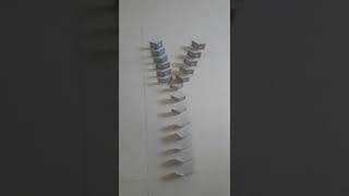 Domino Powar .