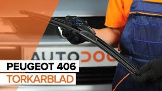 Hur byter man Vindrutetorkare PEUGEOT 406 (8B) - videoguide