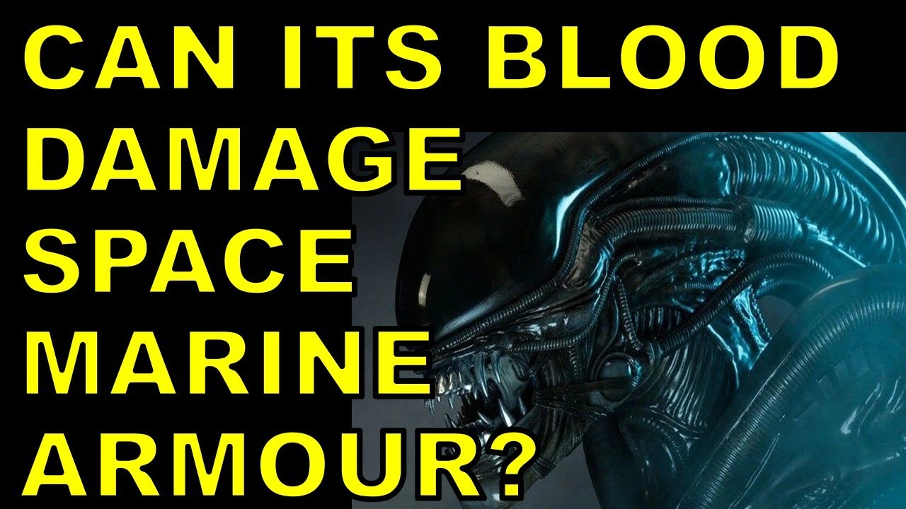 Can Xenomorphs Survive The Warhammer 40k Universe? YouTube