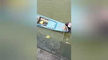 Cá khủng trên kênh Nhiêu Lộc Thị Nghè bị tật diệt, chích điện chết ngắt