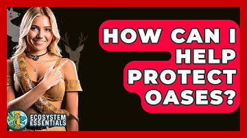 How Can I Help Protect Oases? - Ecosystem Essentials