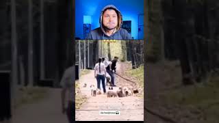 Hindi animal dubbing video 😜🤣#funny #ytshorts #shorts #trending #cat #pets #dog #viralshorts