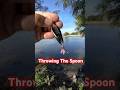 Will bass eat the spoon? #bassfishing #ultralight #fishing #bass