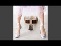 Silver Shoes