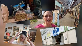So Many Antiques | Cats, garden, chickens | @Seans_World 