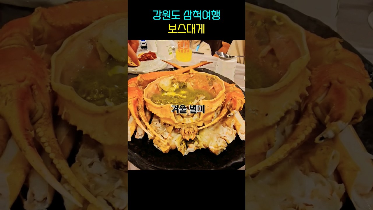 #삼척여행 #쏠비치 #대게 #shorts