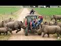 Unbelievable Wild Animal Encounters Caught on Camera That Will Leave You Completely Speechless