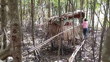 Cầu Tre Xuyên Rừng | Tom Life