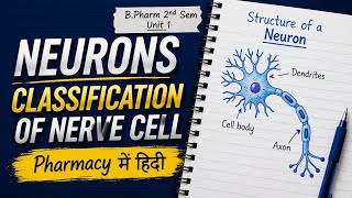 Neuron (Nerve Cell) Full Explanation in Hindi | Structure, Function & Classification | B.Pharm