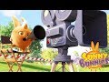 Cartoons for Children | SUNNY BUNNIES - DIRECTOR TURBO | Funny Cartoons For Children