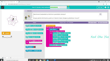 CodeOrg Kurs 2 (11. Sanatçı: Hata Ayıklama)