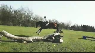 Ad ref 274787 Video 2