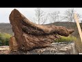 Wood turning Black Walnut Root Chunk