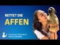 Mein Weg zur Tierschützerin | Michi Schreiber