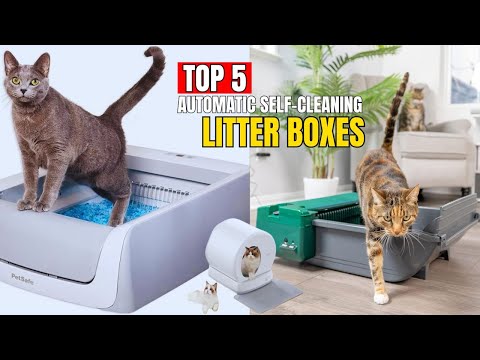 2023's Top 5 Self-Cleaning Litter Boxes: A Purr-fect Clean!