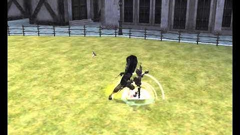 Rappelz Assassin 91 Atk Spd Test