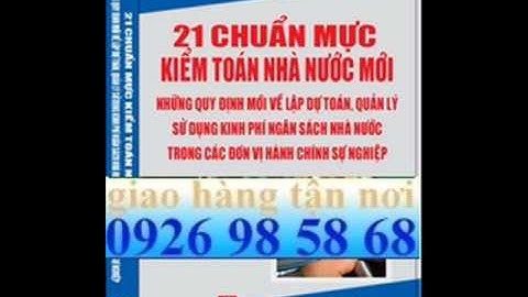 Chuẩn mực kiểm toán nhà nước số 3000 năm 2024