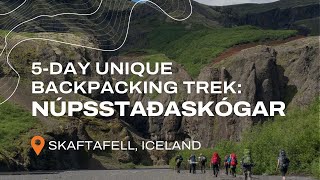 A Unique Trek Through Paradise! Núpsstaðarskógar in Skaftafell, Iceland