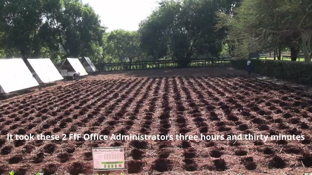 HOW IT TAKES TO DIG A PFUMVUDZA PLOT