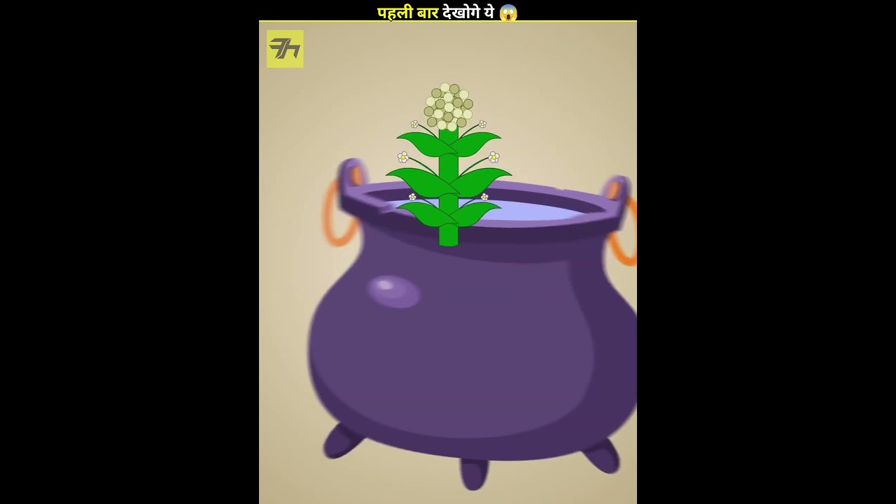 Why Heart Look Like This ❤️