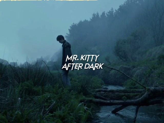 mr.kitty-after dark (sped up+reverb) class=